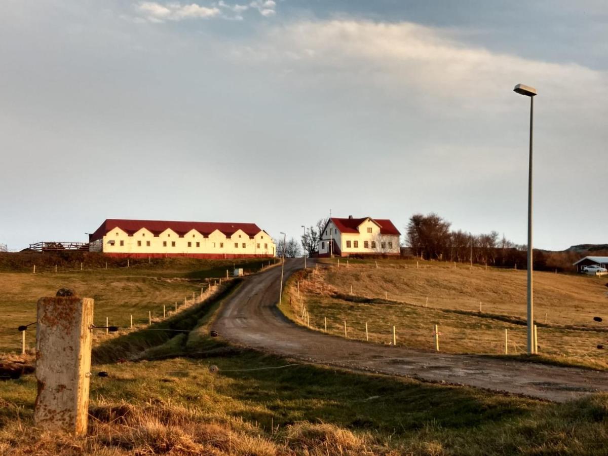 Helluland Guesthouse Saudarkrokur Bagian luar foto