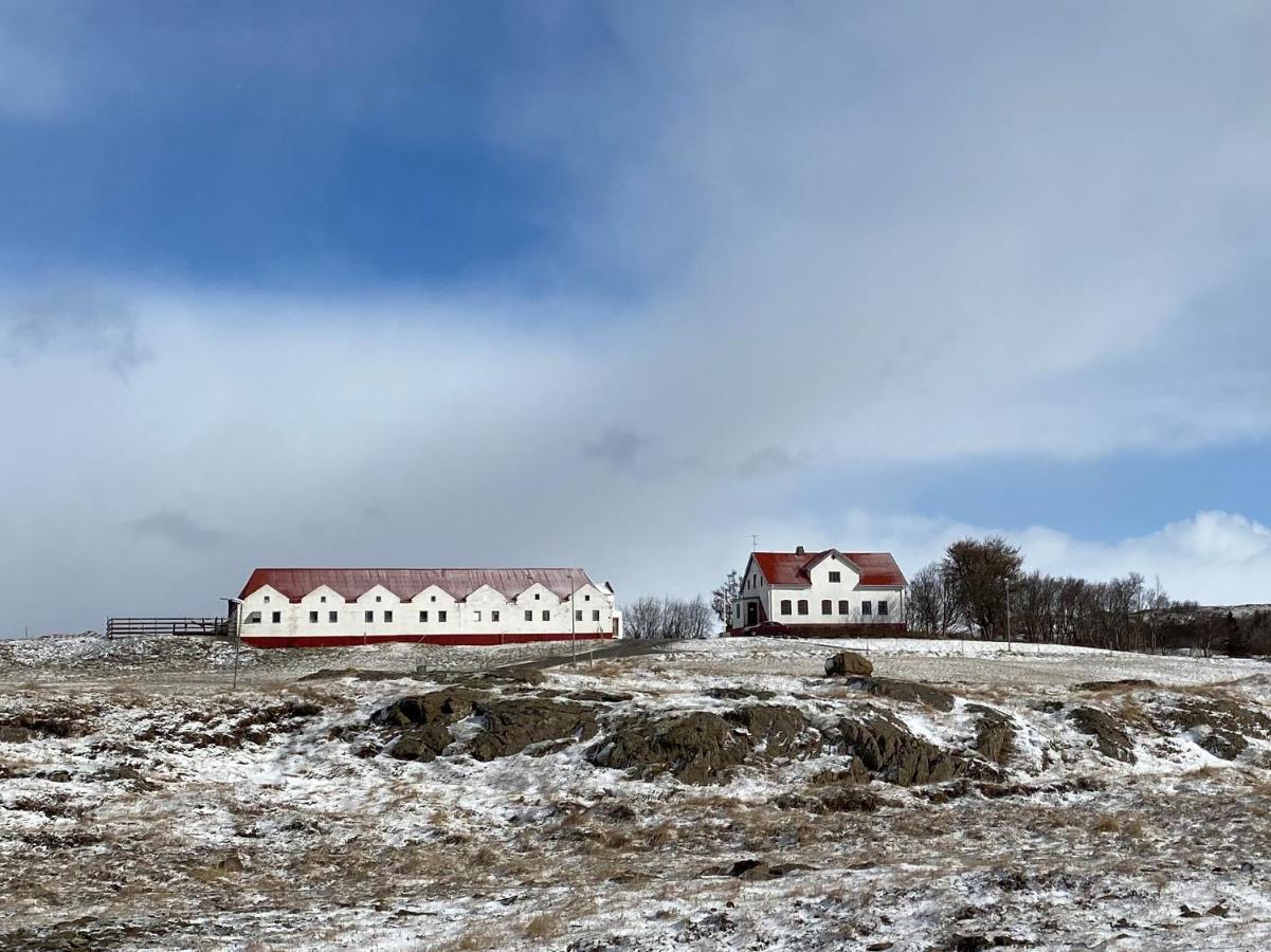 Helluland Guesthouse Saudarkrokur Bagian luar foto