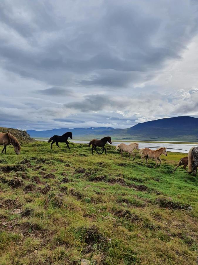 Helluland Guesthouse Saudarkrokur Bagian luar foto