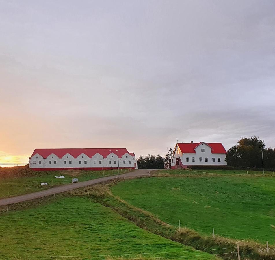 Helluland Guesthouse Saudarkrokur Bagian luar foto