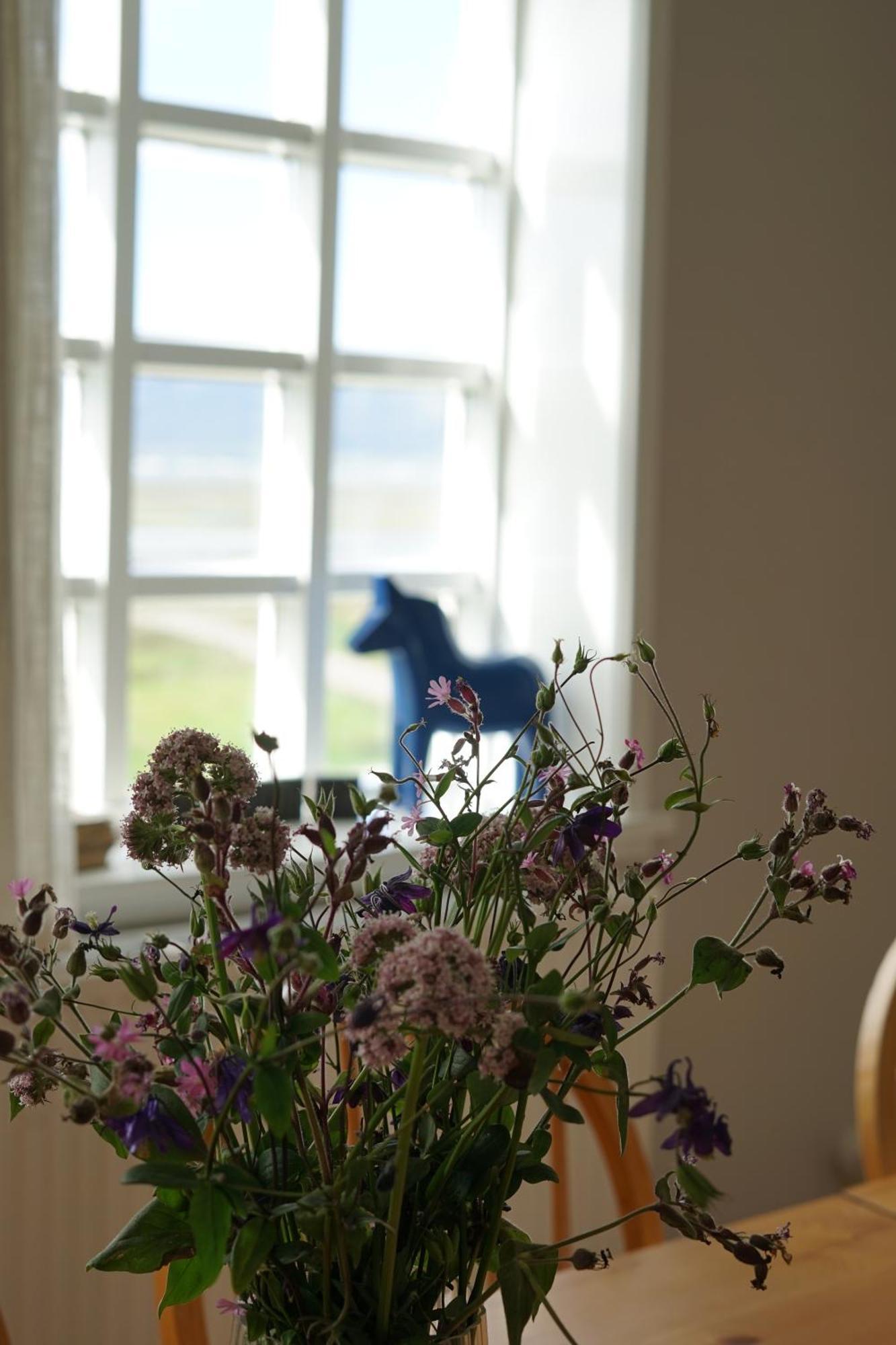 Helluland Guesthouse Saudarkrokur Bagian luar foto