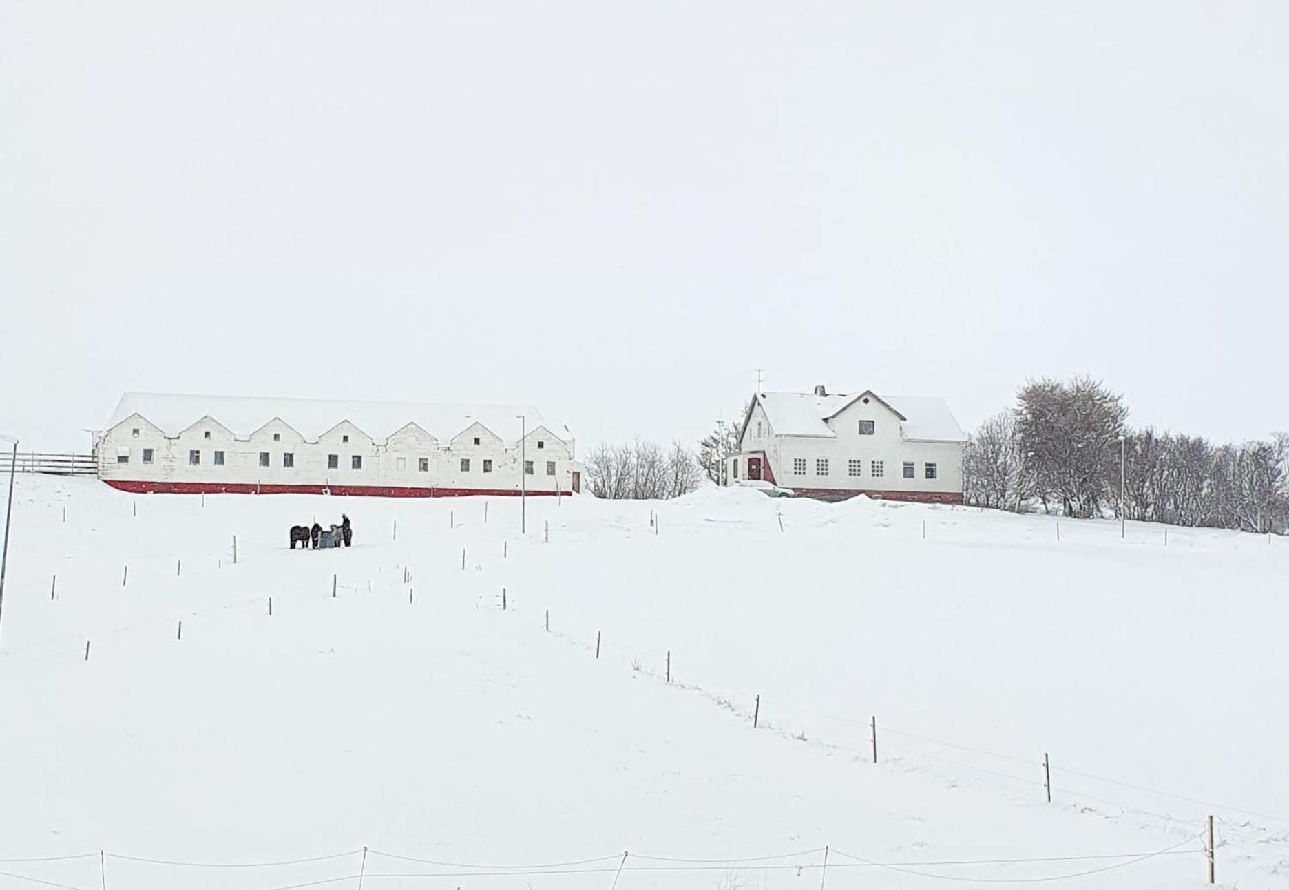 Helluland Guesthouse Saudarkrokur Bagian luar foto